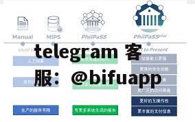 菲律宾三方支付｜GCash原生唤醒直连+秒级回款，币付Pay D0代收代付方案详解