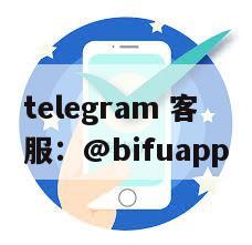 菲律宾本地收款系统实测：币付Pay原生接口稳定输出，全面碾压UUpay聚合方案