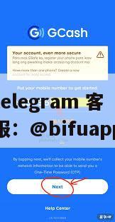 菲律宾第三方支付通道实测：GCash 原生代收代付 D0 到账，币付Pay如何击败优优支付？