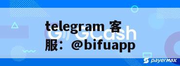 菲律宾三方支付｜GCash 原生代收代付 D0 结算落地指南