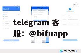如何选择菲律宾第三方支付平台：币付Pay优势分析